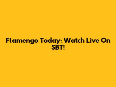 Flamengo Today: Watch Live On SBT!