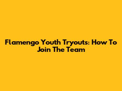 Flamengo Youth Tryouts: How To Join The Team