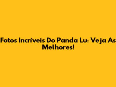 Fotos Incríveis Do Panda Lu: Veja As Melhores!