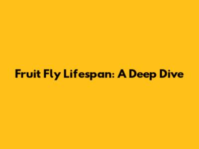 Fruit Fly Lifespan: A Deep Dive
