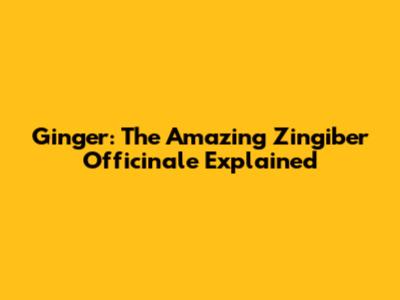 Ginger: The Amazing Zingiber Officinale Explained