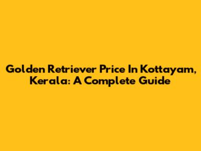 Golden Retriever Price In Kottayam, Kerala: A Complete Guide