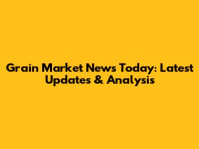 Grain Market News Today: Latest Updates & Analysis