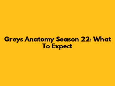 Grey's Anatomy Season 22: What To Expect