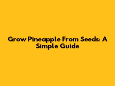 Grow Pineapple From Seeds: A Simple Guide