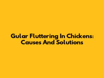 Gular Fluttering In Chickens: Causes And Solutions