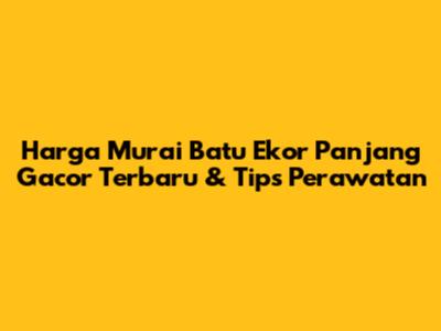 Harga Murai Batu Ekor Panjang Gacor Terbaru & Tips Perawatan
