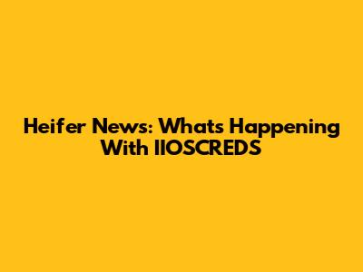 Heifer News: What's Happening With IIOSCREDS