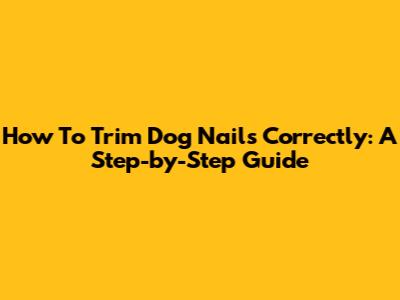 How To Trim Dog Nails Correctly: A Step-by-Step Guide