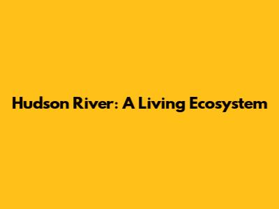 Hudson River: A Living Ecosystem