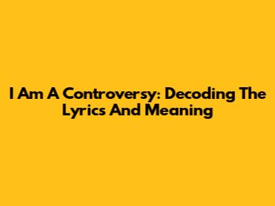 I Am A Controversy: Decoding The Lyrics And Meaning