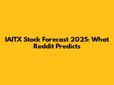 IAITX Stock Forecast 2025: What Reddit Predicts