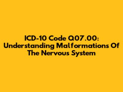 ICD-10 Code Q07.00: Understanding Malformations Of The Nervous System