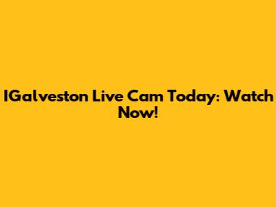 IGalveston Live Cam Today: Watch Now!
