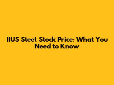 IIUS Steel Stock Price: What You Need to Know