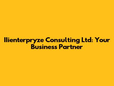 IIienterpryze Consulting Ltd: Your Business Partner