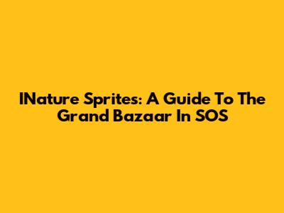 INature Sprites: A Guide To The Grand Bazaar In SOS