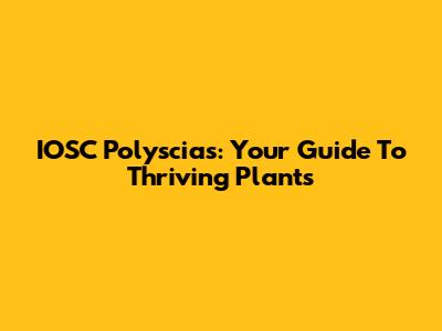 IOSC Polyscias: Your Guide To Thriving Plants