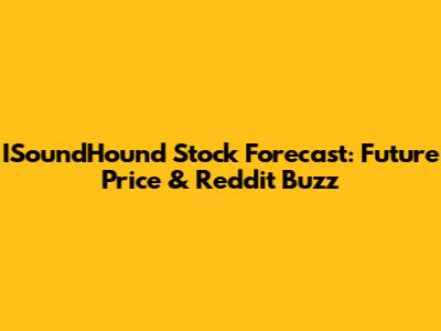 ISoundHound Stock Forecast: Future Price & Reddit Buzz