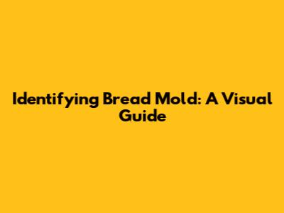 Identifying Bread Mold: A Visual Guide