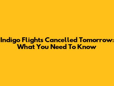 Indigo Flights Cancelled Tomorrow: What You Need To Know