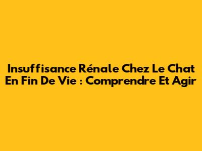 Insuffisance Rénale Chez Le Chat En Fin De Vie : Comprendre Et Agir