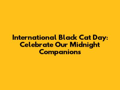 International Black Cat Day: Celebrate Our Midnight Companions