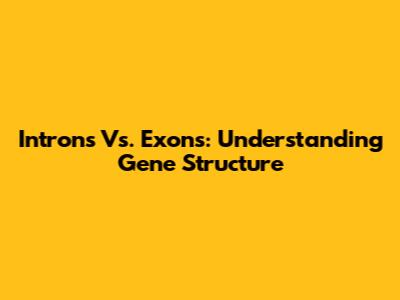Introns Vs. Exons: Understanding Gene Structure
