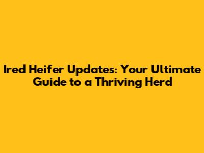Ired Heifer Updates: Your Ultimate Guide to a Thriving Herd