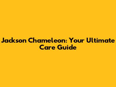 Jackson Chameleon: Your Ultimate Care Guide