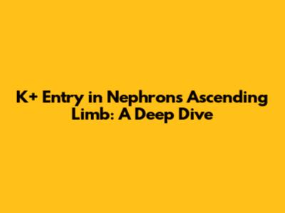 K+ Entry in Nephron's Ascending Limb: A Deep Dive