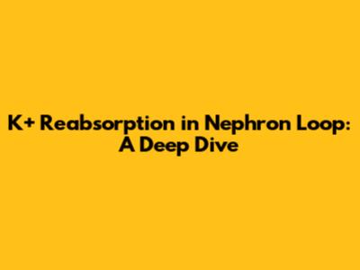 K+ Reabsorption in Nephron Loop: A Deep Dive