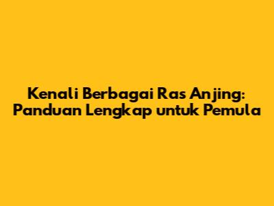 Kenali Berbagai Ras Anjing: Panduan Lengkap untuk Pemula