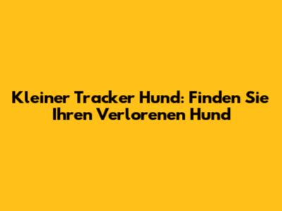 Kleiner Tracker Hund: Finden Sie Ihren Verlorenen Hund