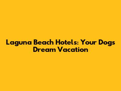 Laguna Beach Hotels: Your Dog's Dream Vacation