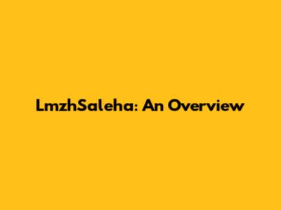 LmzhSaleha: An Overview