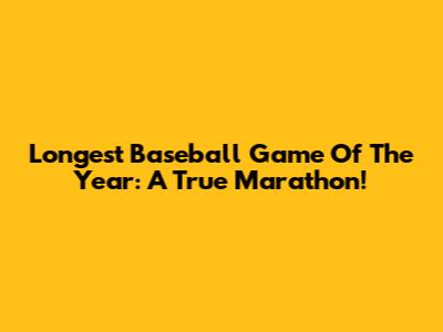 Longest Baseball Game Of The Year: A True Marathon!