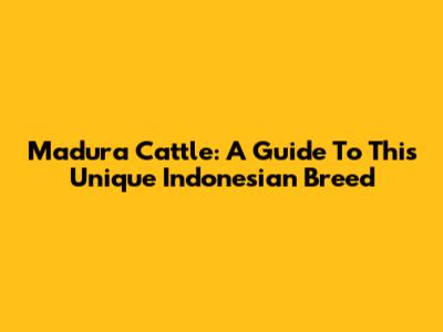 Madura Cattle: A Guide To This Unique Indonesian Breed
