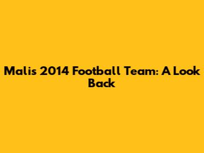 Mali's 2014 Football Team: A Look Back