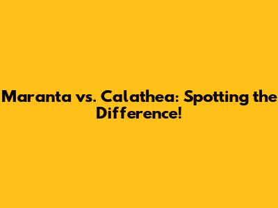 Maranta vs. Calathea: Spotting the Difference!