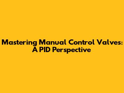 Mastering Manual Control Valves: A PID Perspective