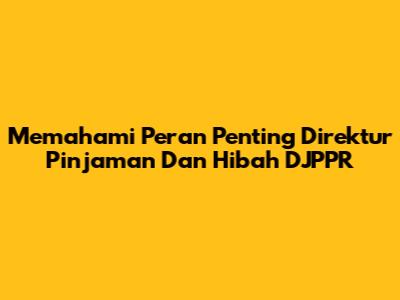 Memahami Peran Penting Direktur Pinjaman Dan Hibah DJPPR
