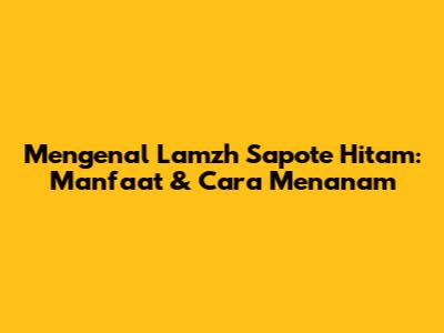 Mengenal Lamzh Sapote Hitam: Manfaat & Cara Menanam