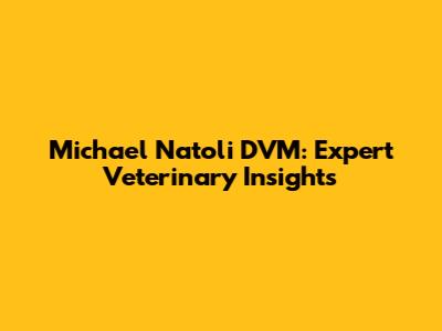 Michael Natoli DVM: Expert Veterinary Insights
