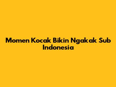 Momen Kocak Bikin Ngakak Sub Indonesia
