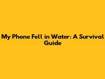 My Phone Fell in Water: A Survival Guide
