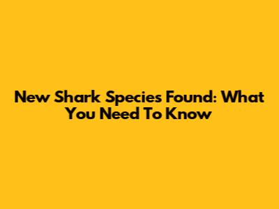 New Shark Species Found: What You Need To Know