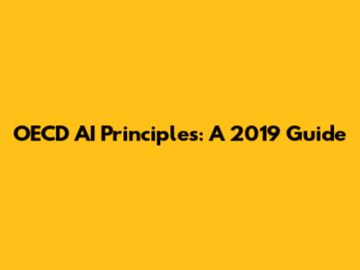 OECD AI Principles: A 2019 Guide