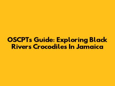 OSCPT's Guide: Exploring Black River's Crocodiles In Jamaica