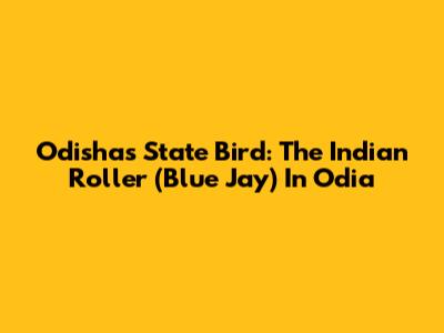 Odisha's State Bird: The Indian Roller (Blue Jay) In Odia